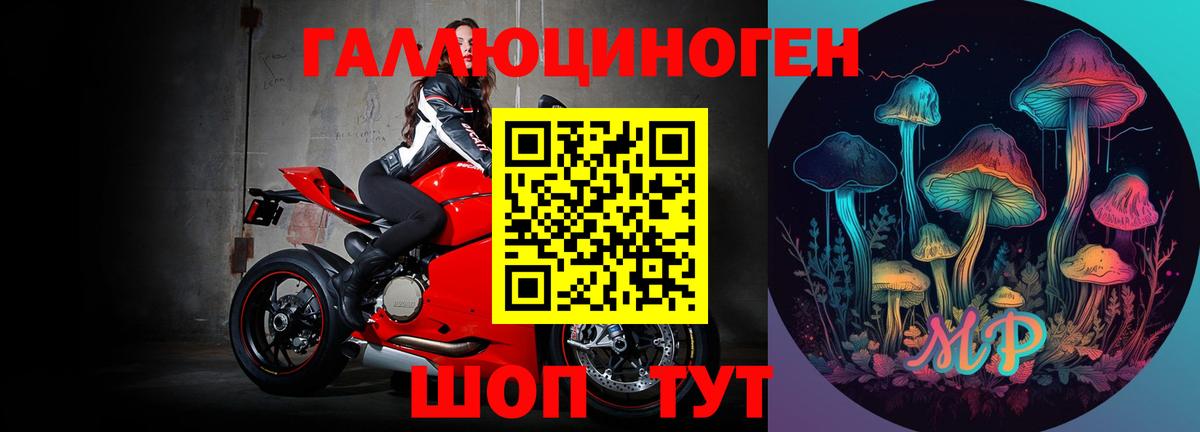 Менделеевск  Галлюциногенные грибы Psilocybine cubensis  наркошоп  Вход с VPN 